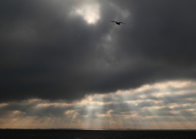 Ameland